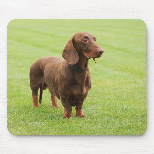 Dackel Mousepad (Vorne)