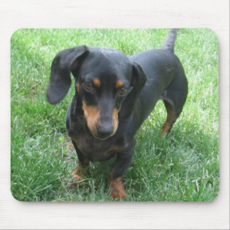 Dackel Mousepad
