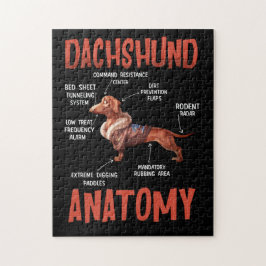 Dackel Niedlich für Dackel Dackel Liebe Anatomie