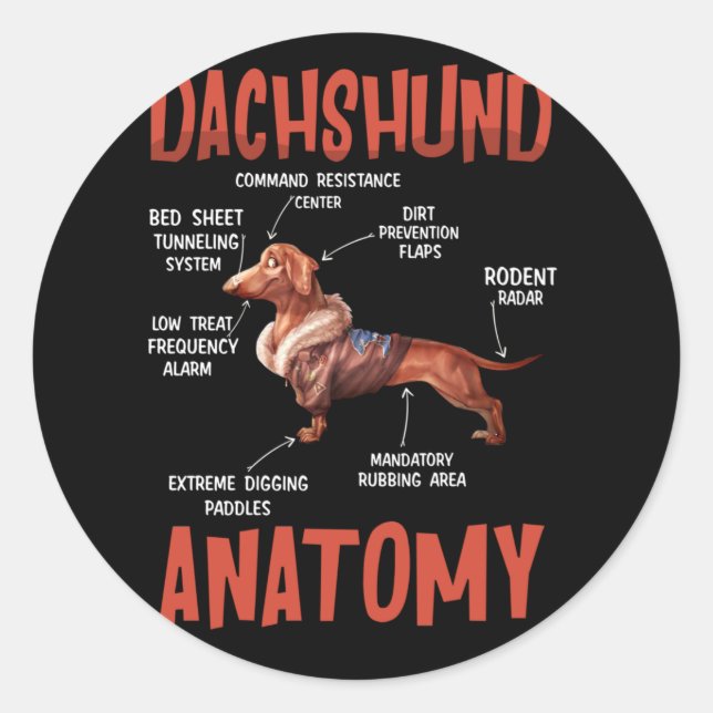Dackel Niedlich für Dackel Dackel Liebe Anatomie Runder Aufkleber (Vorderseite)
