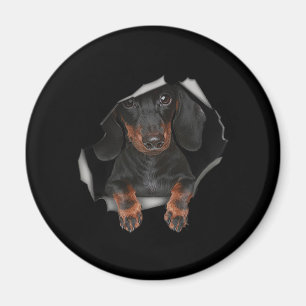 Dackel Niedliche grafische Kleidung Magnet
