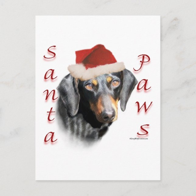 Dackel Paws (glatt) Postkarte (Vorderseite)
