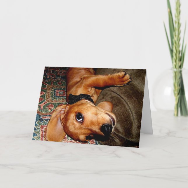 Dackel Pet Puppy Karte (Vorderseite)