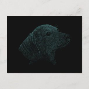 Dackel Postkarte
