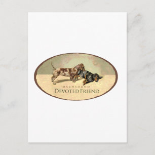 Dackel... Postkarte