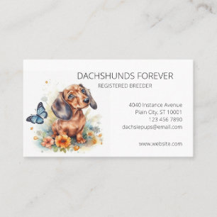 Dackel Puppys Hund Züchter Visitenkarte