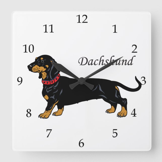 Dackel Quadratische Wanduhr (Vorderseite)