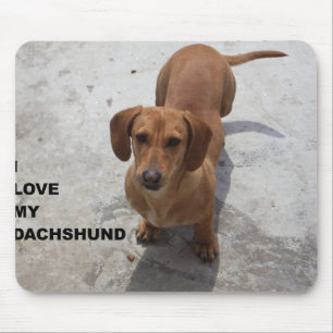 Dackel rote Liebe w pic Mousepad