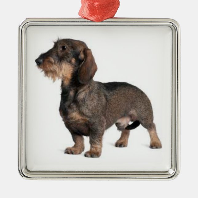 Dackel Silbernes Ornament (Vorne)