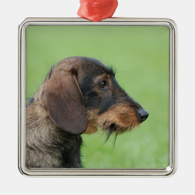 Dackel Silbernes Ornament (Vorne)