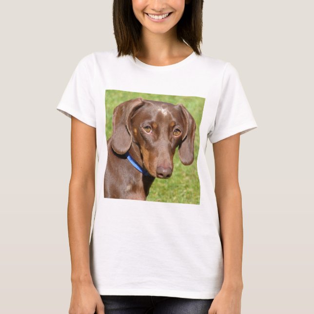 Dackel T-Shirt (Vorderseite)