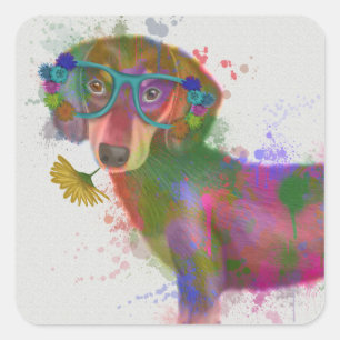 Dackel-u. Glas-Regenbogen-Spritzen Quadratischer Aufkleber