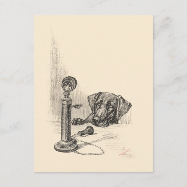 Dackel und Vintages Telefon Postkarte (Vorderseite)