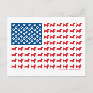 Dackel USA Patriotische Flagge Postkarte