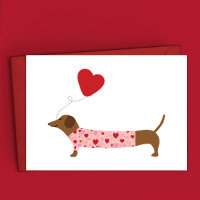 Dackel Valentine, Valentinstag Rosa und Rot