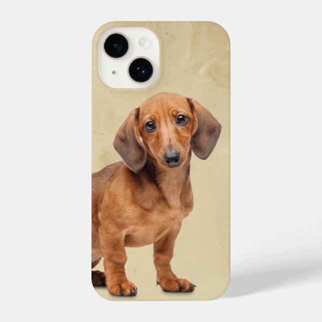 Dackel Wasserfarbe iPhone 14 Hülle (Rückseite)