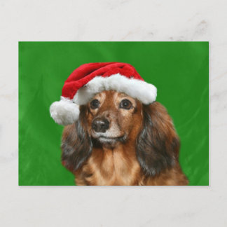 Dackel Weihnachten
