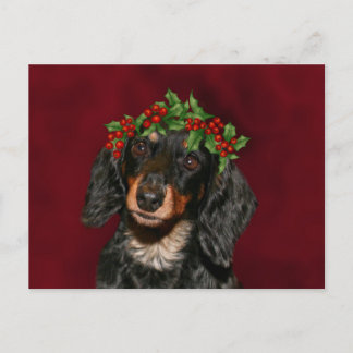 Dackel Weihnachten