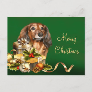 Dackel Weihnachten
