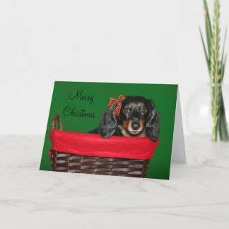 Dackel Weihnachten