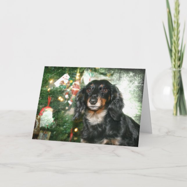 Dackel-Weihnachten Feiertagskarte (Vorderseite)