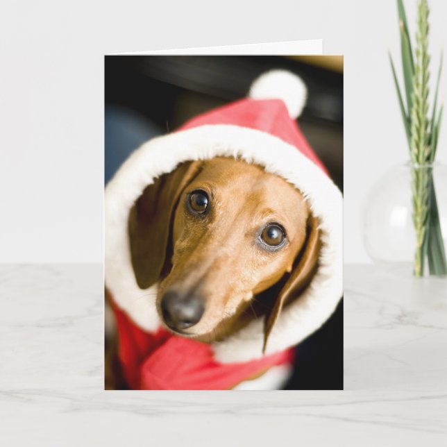 Dackel-Weihnachten Feiertagskarte (Vorderseite)