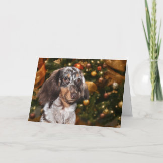 Dackel-Weihnachten Feiertagskarte