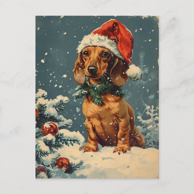 Dackel Weihnachten Postkarte (Vorderseite)