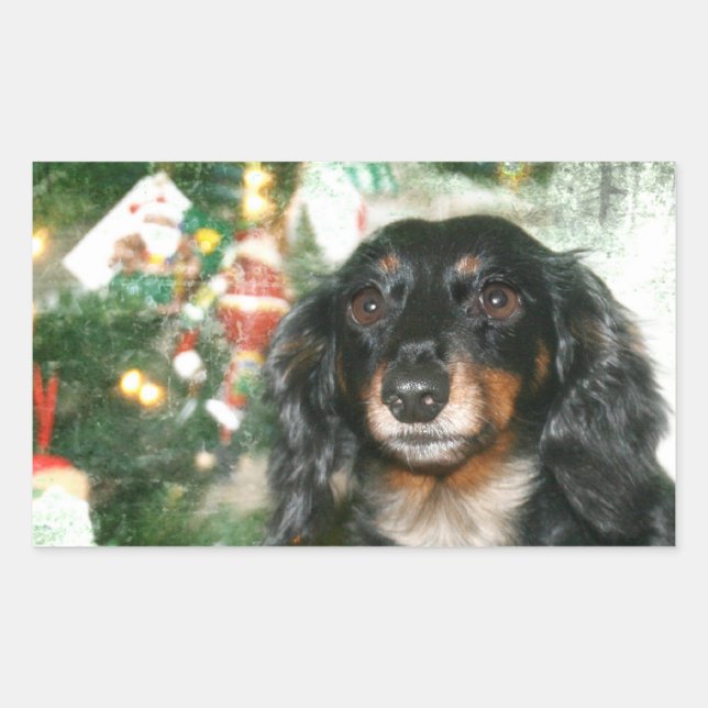 Dackel Weihnachten Rechteckiger Aufkleber (Vorderseite)