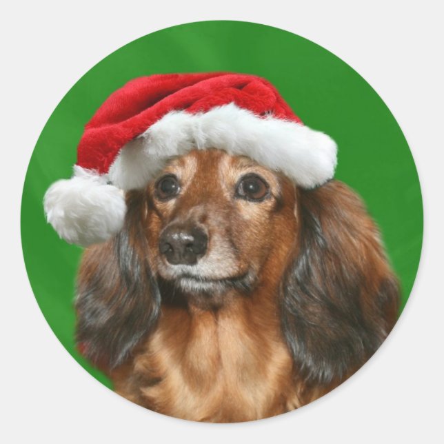 Dackel-Weihnachten Runder Aufkleber (Vorderseite)