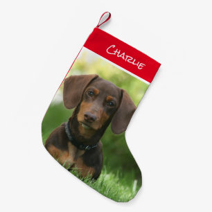 Dackel Weihnachten Strumpf Kleiner Weihnachtsstrumpf