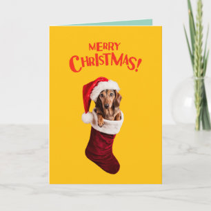 Dackel Weihnachts-Strumpf Feiertagskarte