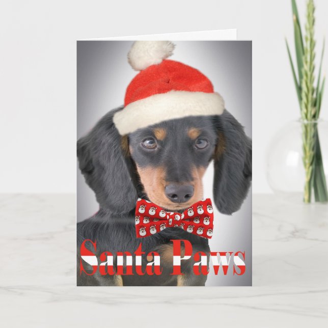 Dackel Weihnachtskarte Feiertagskarte (Vorderseite)