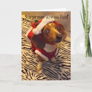 Dackel Weihnachtskarte Feiertagskarte