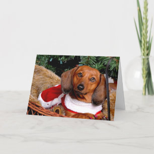 Dackel Weihnachtskarte Feiertagskarte