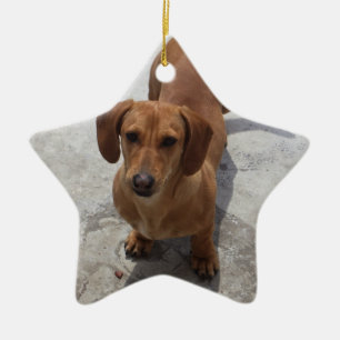 Dackel Weihnachtsschmuck Star Custom