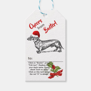 Dackel-Weihnachtsstechpalmen-Schneeflocke Geschenkanhänger