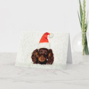 Dackel Welpe Weihnachtskarte Feiertagskarte