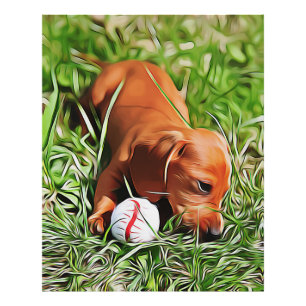 Dackel Welpen, die mit Ball-Xmas-Pop im Gras liege Fotodruck