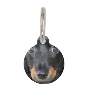 Dackel-Welpen-Hund Tiernamensmarke