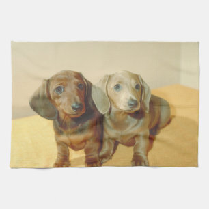 Dackel-Welpen-Hundeküchen-Tuch Küchentuch