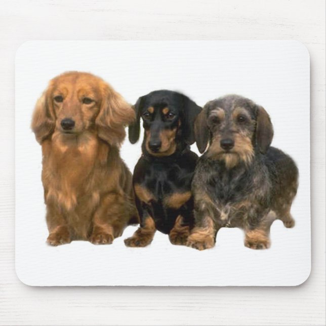 Dackel-Welpen Mousepad (Vorne)