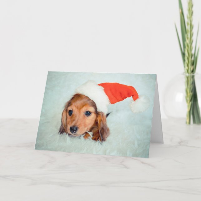 Dackel Welpen Weihnachten (Vorderseite)