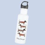 Dackel Wurst Hund Personalisiert Edelstahlflasche<br><div class="desc">Niedliche kleine Dackel Würstchen oder Dackel Hunde in Wollstrickbekleidung. Ideal für Hundeliebhaber und Hundeschlittengänger. Originelle Kunst von Nic Squirrell. Ändern Sie den Namen zum Anpassen.</div>