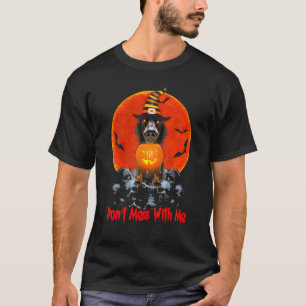 Dackel Wursthund mit Kürbislampe T-Shirt