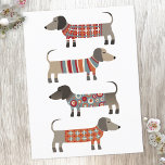 Dackel Wursthund Postkarte<br><div class="desc">Niedliche kleine Dackel Würstchen oder Dackel Hunde in Wollstrickbekleidung. Ideal für Hundeliebhaber und Hundeschlittengänger.</div>