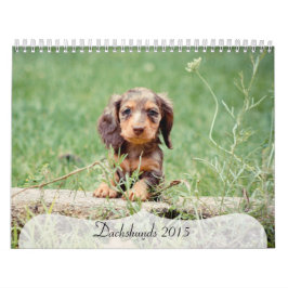 Dackeln 2015 kalender