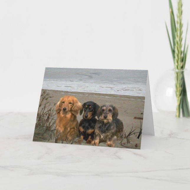 Dackeln auf der Strandkarte Karte (Vorderseite)