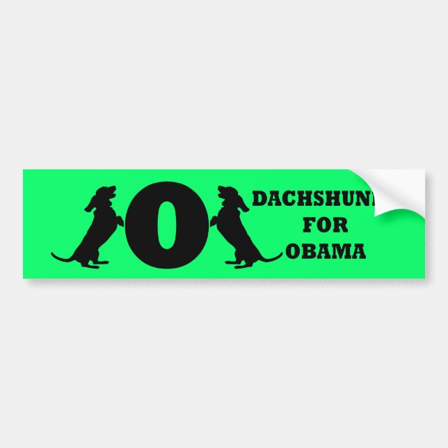 Dackeln für Obama Autoaufkleber (Vorne)