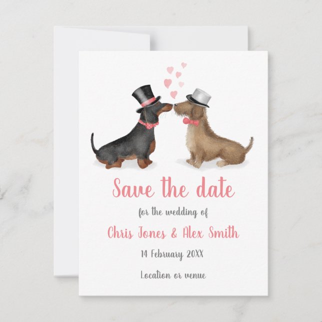 Dackeln in Liebe Save the Date Karte (Junge/Junge) (Vorderseite)